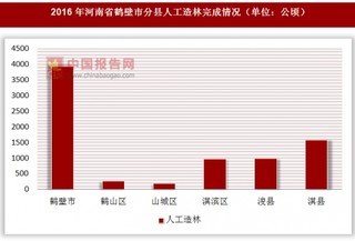 2016年河南省鹤壁市分县人工造林完成情况