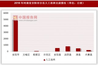 2016年河南省安阳市分县人工造林完成情况