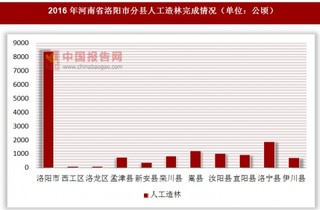 2016年河南省洛阳市分县人工造林完成情况