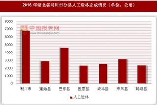 2016年湖北省利川市分县人工造林完成情况