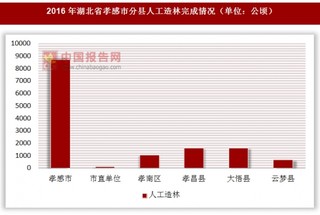 2016年湖北省孝感市分县人工造林完成情况