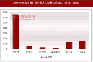 2016年湖北省荆门市分县人工造林完成情况