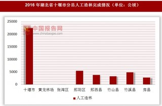 2016年湖北省十堰市分县人工造林完成情况