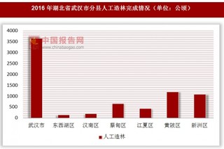 2016年湖北省武汉市分县人工造林完成情况