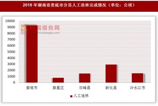2016年湖南省娄底市分县人工造林完成情况