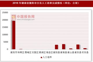 2016年湖南省衡阳市分县人工造林完成情况