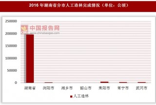 2016年湖南省分市人工造林完成情况