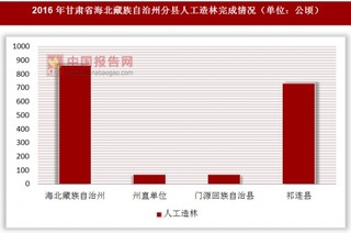 2016年甘肃省海北藏族自治州分县人工造林完成情况