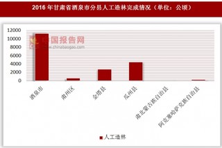 2016年甘肃省酒泉市分县人工造林完成情况