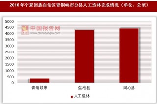 2016年宁夏回族自治区青铜峡市分县人工造林完成情况