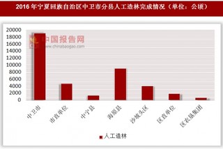 2016年宁夏回族自治区中卫市分县人工造林完成情况