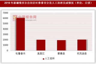 2016年新疆维吾尔自治区吐鲁番市分县人工造林完成情况