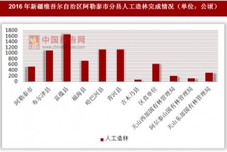 2016年新疆维吾尔自治区阿勒泰市分县人工造林完成情况