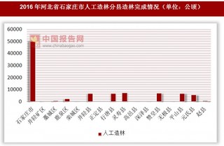 2016年河北省石家庄市分县人工造林完成情况