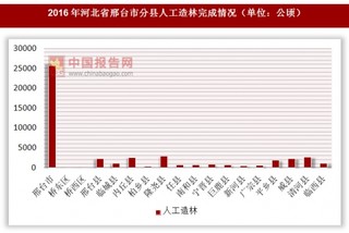 2016年河北省邢台市分县人工造林完成情况