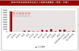 2016年河北省沧州市分县人工造林完成情况