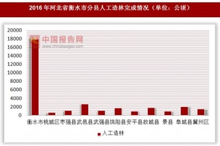 2016年河北省衡水市分县人工造林完成情况
