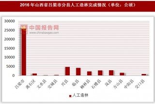 2016年山西省吕梁市分县人工造林完成情况