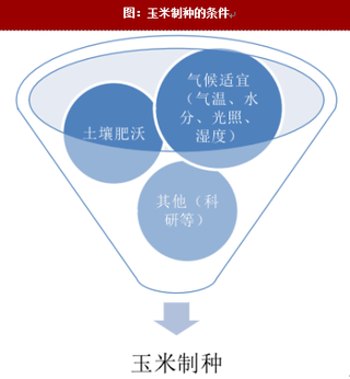 2018年我国玉米制种的基本情况（图）