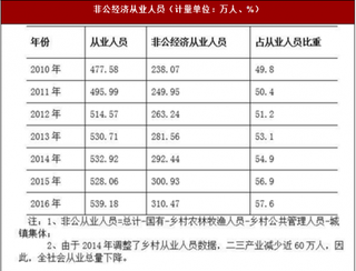 2017年陕西省西安市非公经济总体情况