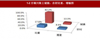 2018年1-2月陕西省铜川市限上消费市场运行情况