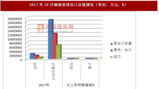 2017年10月湖南省进出口总值情况