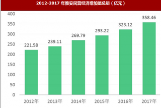 2017年四川省雅安市民营经济运行情况