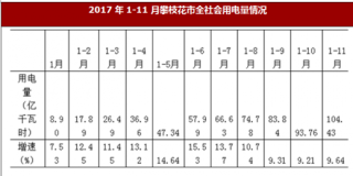 2017年1-11月四川省攀枝花市全社会用电量同比增长9.64%