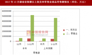 2017年12月湖南省限额以上批发和零售业商品零售额情况