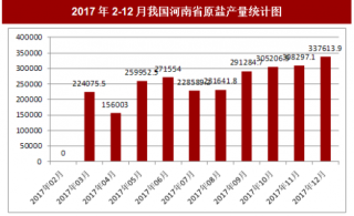 2017年12月我国河南省原盐产量337613.9吨，本月止累计产量3335818.2吨