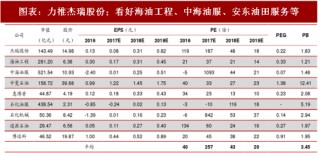 2018年中国油服行业龙头公司发展情况分析（图）