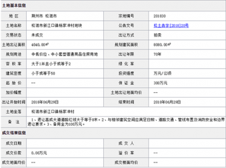 2018年6月荆州市松滋市新江口镇杨家冲村地块商用或工用土地拍卖、出让交易信息