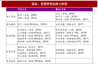 2018年中国零售行业市场格局及其发展战略分析（图）