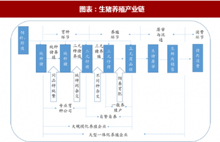 2018年中国生猪养殖行业产业链与周期演变分析（图）