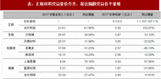 2018年我国动力电池行业原材料市场发展分析  三元加速渗透 湿法隔膜受益价平量增