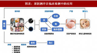 2018年中国基因测序行业应用领域及规模预测：终端应用遍地开花 市场潜力不容小觑（图）