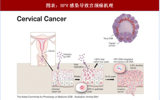 2018年全球疫苗行业HPV疫苗销售额及接种情况 国内存量市场巨大 未来几年将快速增长（图）