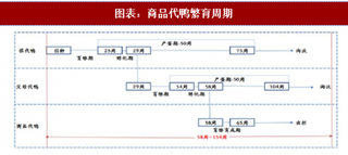 2018年中国肉鸭行业供给：祖代存栏出现较大缺口 父母代存栏修复放慢（图）