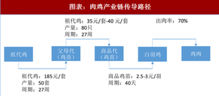 2018年中国肉鸡行业产业链及供给：传导链条清晰 供给端持续收紧（图）