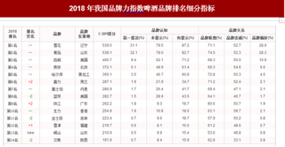 2018年我国啤酒品牌力指数排名情况