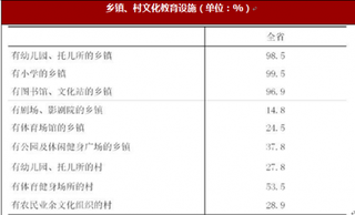 海南省第三次全国文化教育普查主要数据 98.5%乡镇有幼儿园、托儿所