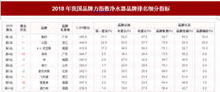 2018年我国净水器品牌力指数排名情况