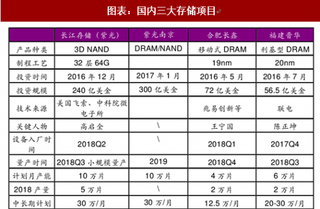 2018年中国存储芯片行业品牌格局：人才集聚下三大项目进展顺利（图）