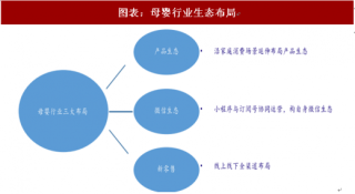 2018年中国母婴行业未来发展驱动因素 智能科技化积极布局母婴生态链（图）