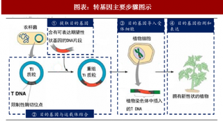 2018年中国转基因行业应用：显著提高作物质量并降低种植成本（图）