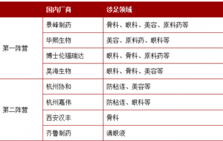 透明质酸钠行业波特五力分析