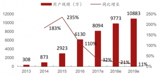 2013-2019年中国网络视频付费用户规模（图）