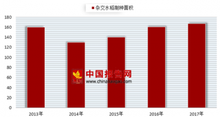 袁隆平再创奇迹 我国杂交水稻产业发展重大突破