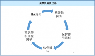 2018年我国透明质酸钠行业市场规模快速增长 寡头垄断格局将持续