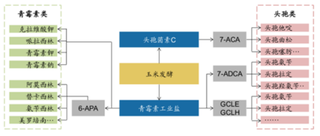 多国滥用抗生素被世卫警告 中国抗生素市场持平稳状况